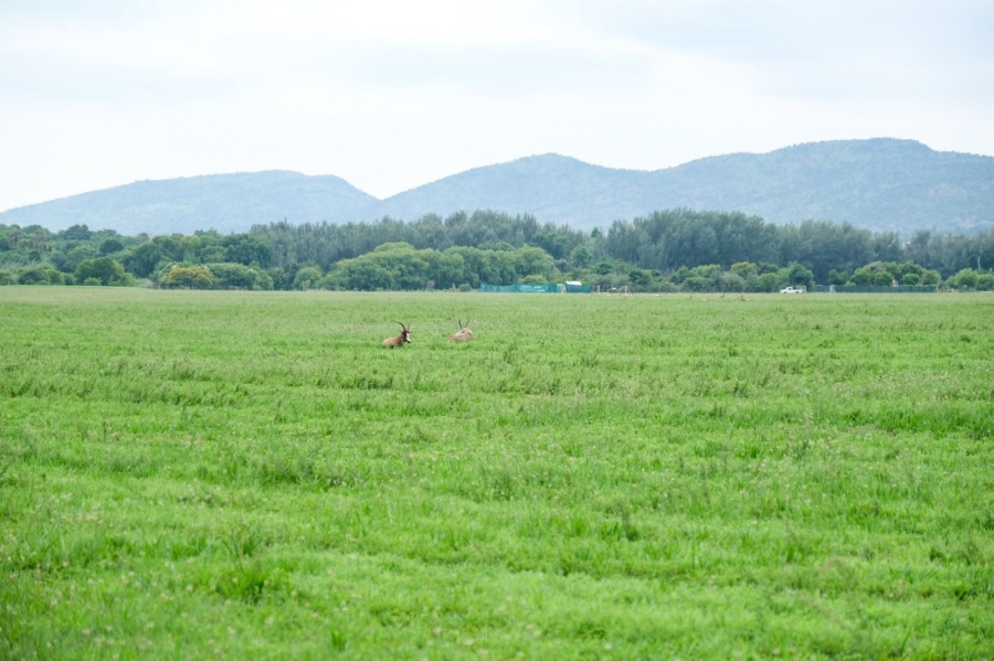 0 Bedroom Property for Sale in The Coves North West